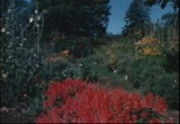 Garden (University of California, Santa Cruz)