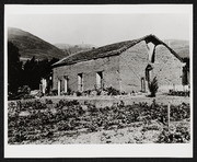 Abelardo Higuera Adobe, Warm Springs, Alameda County 002