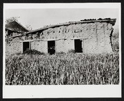 Fernando Higuera Adobe (?) 002