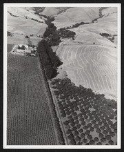 Weibel Winery