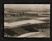 California Nursery, Niles