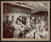 California Nursery Company, Women Working, Standing and Packing, Poeding Fig Packing Shed, Fresno