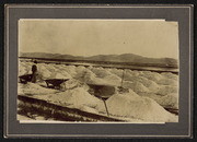 Newark, Salt Works