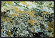 Vargas Road Petroglyphs 002