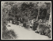Niles Canyon, Man Standing Beside Alameda Creek, June 1884