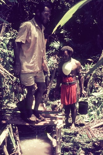 Squeezing the starch from sago palm pith, man in background wears large baler shell valuable