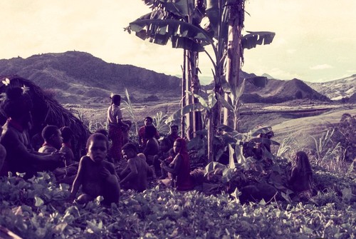 Late afternoon gathering at Iapi, in garden, small mountains in distance