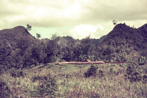 A newly constructed longhouse (yaeada) for participants in a pig ceremony