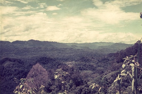 South Kewa landscape showing the extensive forest cover, village visible in central distance