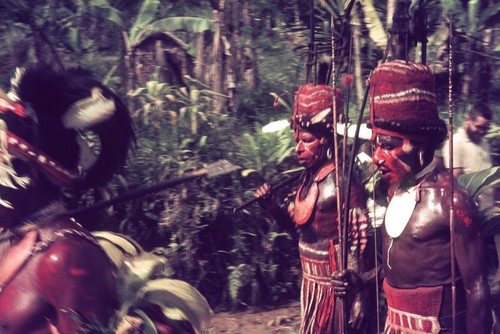 Exchange leaders arriving, wearing shell valuables, face and body paint, red headdresses and loincloths, carrying bows and arrows