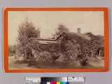 Residence of Mr. Masters, corner of Kensington Place & North Orange Grove Ave. Pasadena