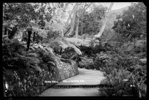 Fern Dell, Hollywood, Cal