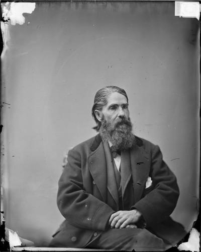 D.H. Ross, delegate to Washington, 1875. Brother of William P. Ross