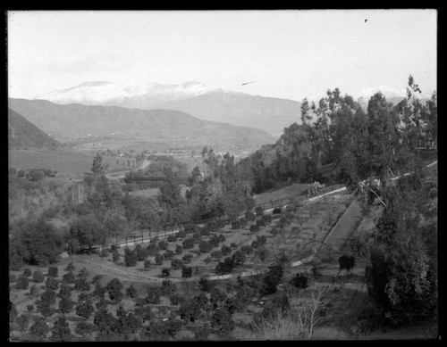 Orchards in the Arroyo Seco, Pasadena. approximately 1907?