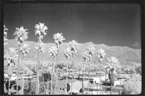 Infrared photograph of view towards Mount Wilson, above Pasadena