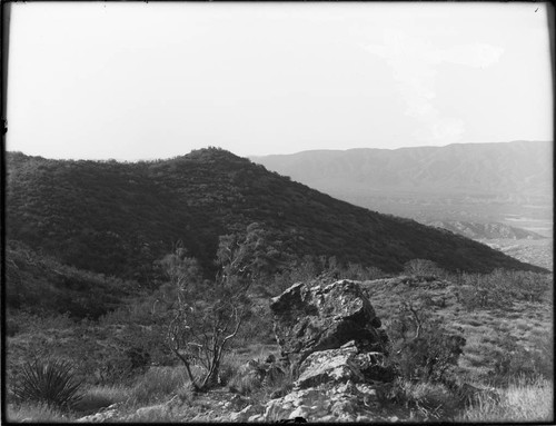 Croppings, looking south