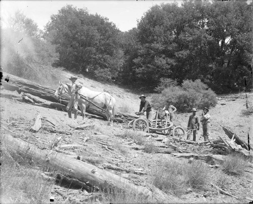 Construction workers with horse-drawn cart on Mount Wilson