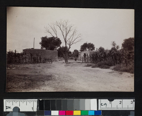 Unidentified scene in a pueblo or settlement