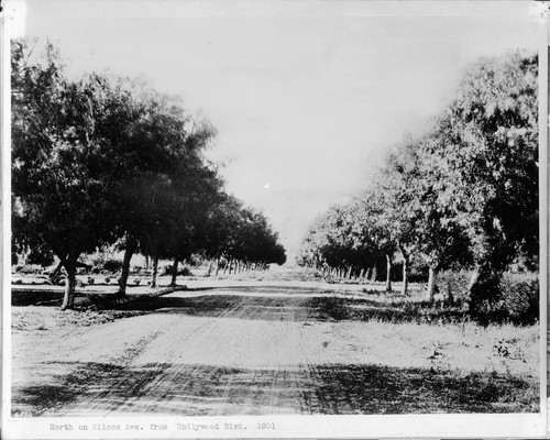 North on Wilcox Ave. from Hollywood Blvd