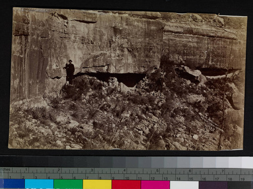 Cliff dwellings, Walnut Canyon, Arizona