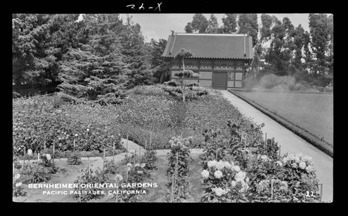 Bernheimer Oriental Gardens, Pacific Palisades, California