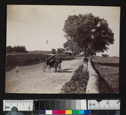 Horse and buggy on road, with adobe houses in distance