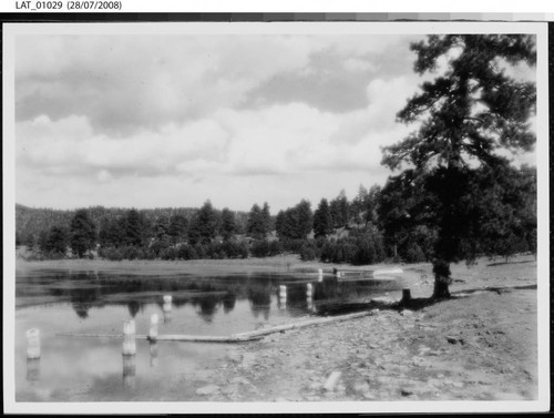 Pilings in the shallow part of a lake at Vermejo Ranch