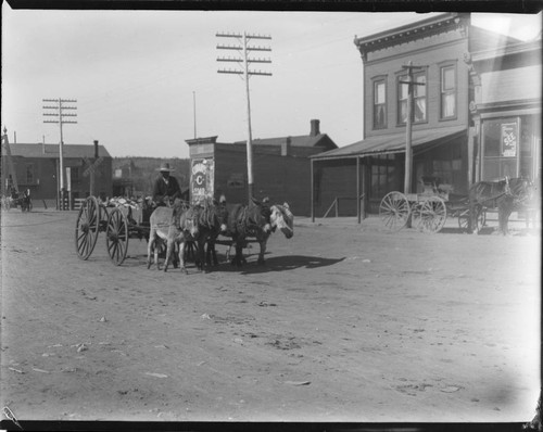 Las Vegas, man with donkeys