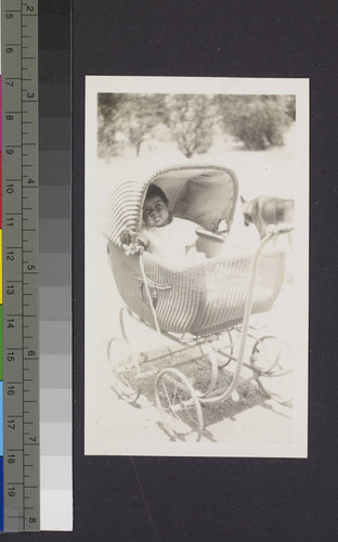 Baby in a pram