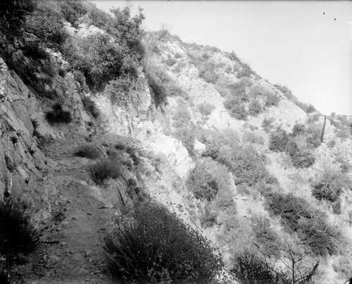 View up mountainside along Mount Wilson toll road