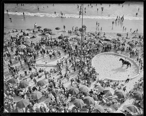 Horse and rider in ring during circus, Deauville Club in Santa Monica