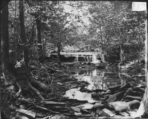 Limestone Creek, near Fort Gibson, Indian Territory