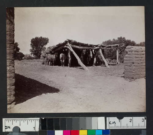 Horse corral of logs and brush