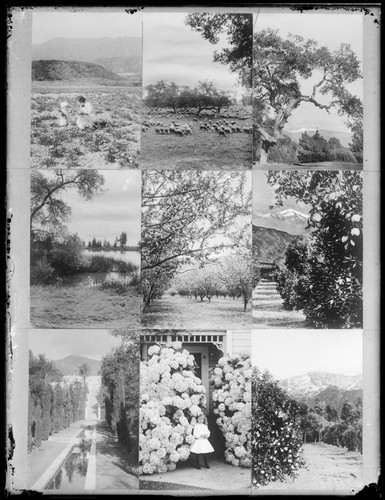 Pasadena scenes. approximately 1917?