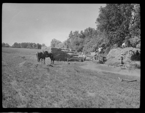 Group of Indians baling hay and straw