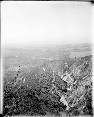 Mount Wilson toll road at Fern Canyon, looking down