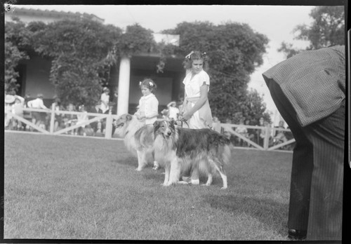 Pet show, Polytechnic Elementary School, 1030 East California, Pasadena. June 1939