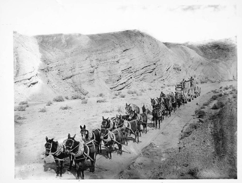 Teaming the borax out of Death Valley