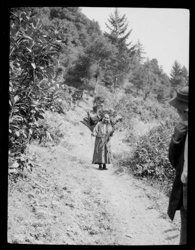 Lucy - Sandy Bar Bob's woman, carrying firewood. Karok