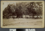 G.A.R. Encampment, Santa Monica, Cal. July 24, 1894