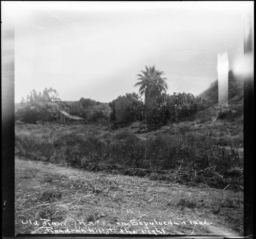 Old ranch houses on Sepulveda place, road on hill to the right