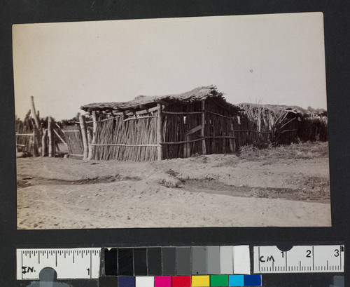 Wood and brush shelters