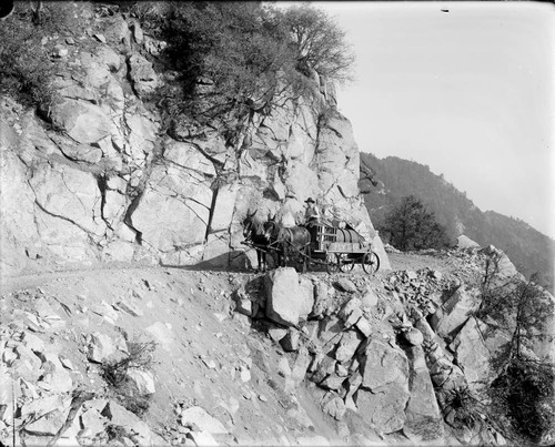 Horse team, wagon and driver on newly-widened toll road, Mount Wilson