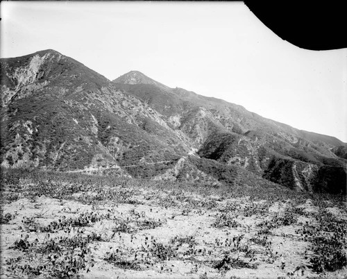 Lower portion of trail to Mount Wilson, as seen from Allen's vineyard