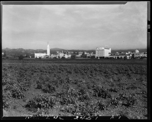 Panoramic view of early Westwood Village