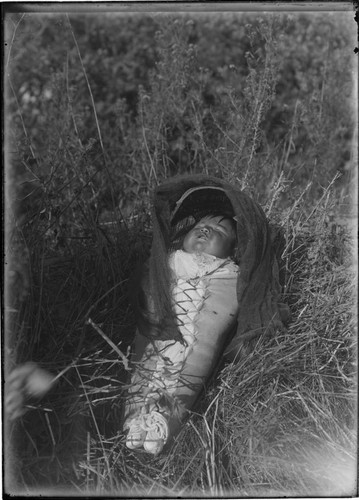 Paiute baby in cradle-board, laying in grass