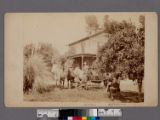 Halsted family members at the family home, Alhambra