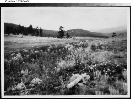 Field with hills in the distance at Vermejo Ranch