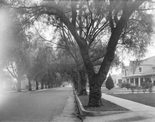 Residential neighborhood, Pasadena