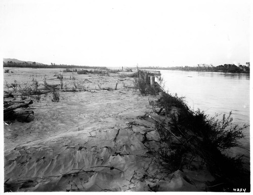 Colorado River near where river goes into Imperial Canal